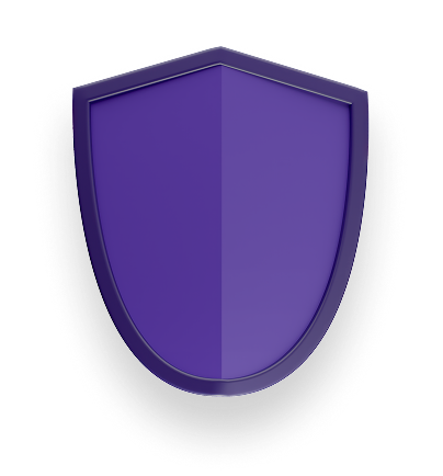 accessible website shield