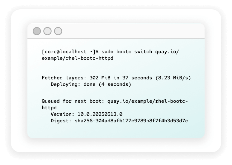 View of a terminal window showing commands