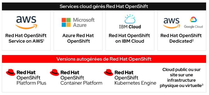 Figure 1 : options de déploiement de Red Hat OpenShift