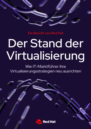 Der Stand der Virtualisierung_DE