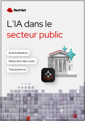 L'IA dans le secteur public