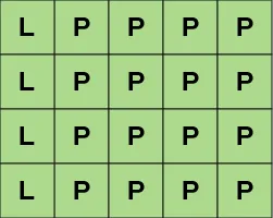 5X4 grid with the cells of the first column containing the letter "L". All other cells contain the letter "P"