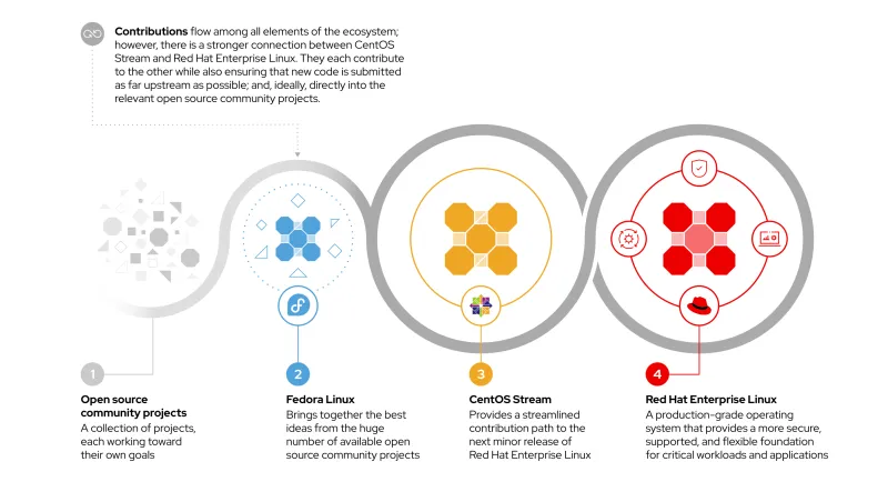 The Red Hat Enterprise Linux ecosystem