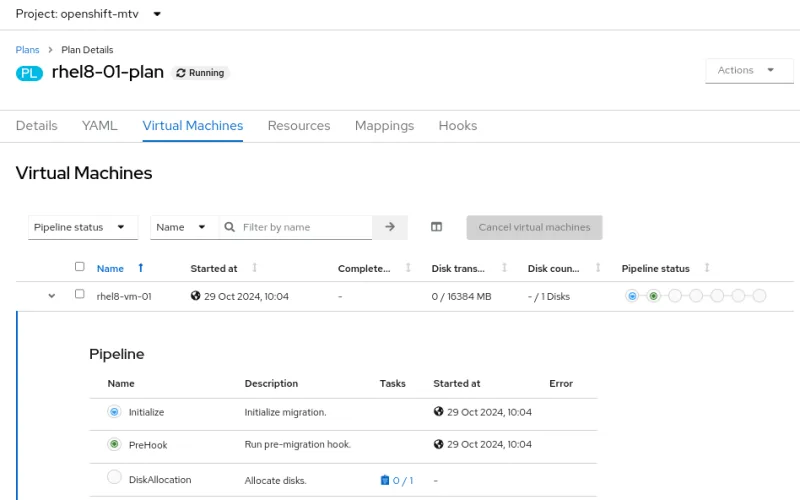 Running the migration plan with migration hooks