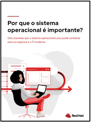 Por que o sistema operacional é importante?