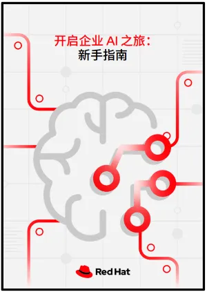 Front cover of 开启企业 AI 之旅：新手指南 ebook
