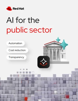 Front cover of AI for the public sector ebook