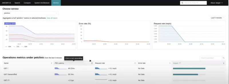 Observability window