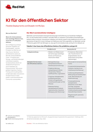 ve-ai-for-the-public-sector-overview-2303831pr-202506-a4-de