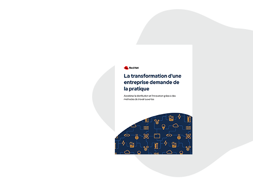 Livre numérique&nbsp;: La transformation d'une entreprise demande de la pratique