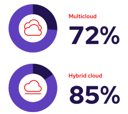 Surveyed organizations’ current cloud infrastructure 
